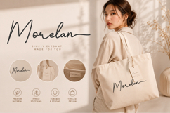 Bertiland Signature a Monoline Script Font Product Image 3