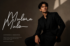Bertiland Signature a Monoline Script Font Product Image 9