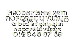 Best Dressed Color Font Product Image 3
