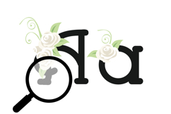 Best Dressed Color Font Product Image 7