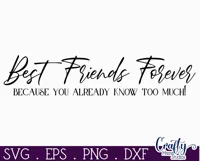 Farmhouse Friends Sign Svg, Best Friends Forever Product Image 2