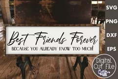 Farmhouse Friends Sign Svg, Best Friends Forever Product Image 1
