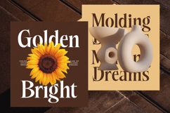 Besteza - Modern Serif Display Font Product Image 11