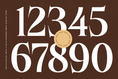 Besteza - Modern Serif Display Font Product Image 14
