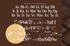 Besteza - Modern Serif Display Font Product Image 18