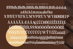 Besteza - Modern Serif Display Font Product Image 19