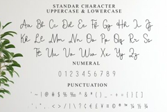 Bestia Signature Product Image 7