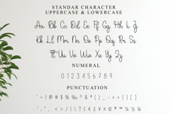 Bestia Stencil Product Image 7