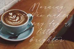 Bestlife Santuary - Beautiful Script Font Product Image 2