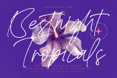 Bestnight Tropicals - Ballpoint Natural Script Product Image 1