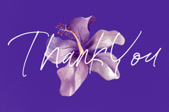 Bestnight Tropicals - Ballpoint Natural Script Product Image 20