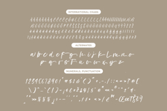 Bestovy Wisher - Modern Handbrush Font Product Image 13