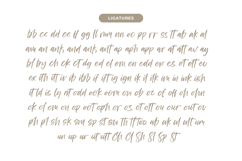 Bestovy Wisher - Modern Handbrush Font Product Image 14