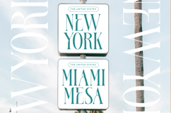 Bestsky - Display Serif Font Product Image 2