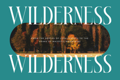 Bestsky - Display Serif Font Product Image 11