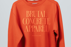 Bestsky - Display Serif Font Product Image 12