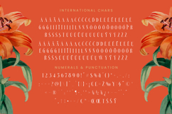 Bestsky - Display Serif Font Product Image 19