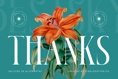 Bestsky - Display Serif Font Product Image 20