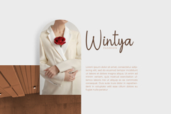 Betaloa Product Image 2