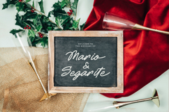 Betany Salena - Monoline Brush Font Product Image 2