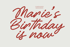 Betany Salena - Monoline Brush Font Product Image 3