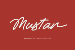 Betany Salena - Monoline Brush Font Product Image 6