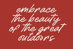 Betany Salena - Monoline Brush Font Product Image 8