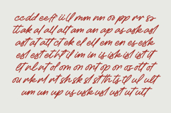 Betany Salena - Monoline Brush Font Product Image 9