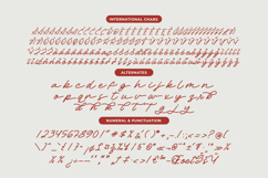 Betany Salena - Monoline Brush Font Product Image 13