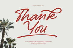 Betany Salena - Monoline Brush Font Product Image 15