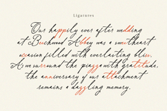 Betris and Daniel | Romantic Handwritten Font for Wedding Product Image 11