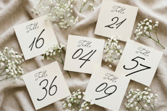 Betris and Daniel | Romantic Handwritten Font for Wedding Product Image 15