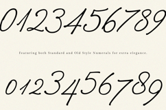 Betris and Daniel | Romantic Handwritten Font for Wedding Product Image 14