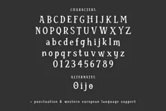 Bewitching Serif Font Product Image 10