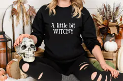 Bewitching Serif Font Product Image 3