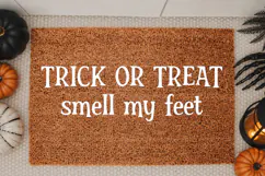 Bewitching Serif Font Product Image 8