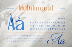 Beyna Elvani - Elegant Sans and Script Product Image 11