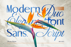 Beyna Elvani - Elegant Sans and Script Product Image 6