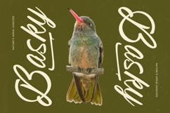 Beyond Southy - Bold Handwritten Font Product Image 9