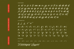 Beyond Southy - Bold Handwritten Font Product Image 19