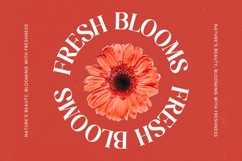 Beyond Wandler - Bold Serif Display Font Product Image 13