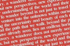 Beyond Wandler - Bold Serif Display Font Product Image 17