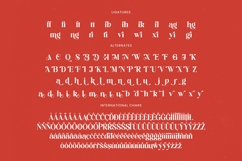 Beyond Wandler - Bold Serif Display Font Product Image 19