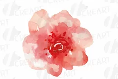 Burgundy and coral pink watercolor floral wedding clip art, Product Image 9