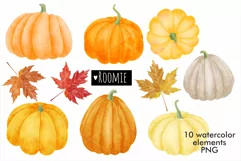 Watercolor autumn pumpkins clipart PNG, Fall leaf Halloween Product Image 3