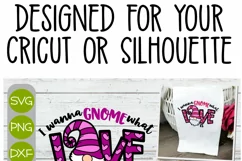 I Wanna Gnome What Love is - A Valentines Layered Cricut SVG Product Image 9