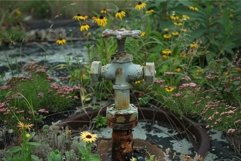 Rustic water valve amidst wildflowers Product Image 1