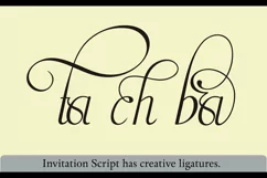 Invitation Script - Free Font of The Week Product Image 5