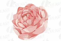 Faded orange and blush flowers and green leaves watercolor Product Image 13