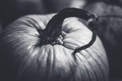 620 Halloween Time Lightroom Presets Product Image 18